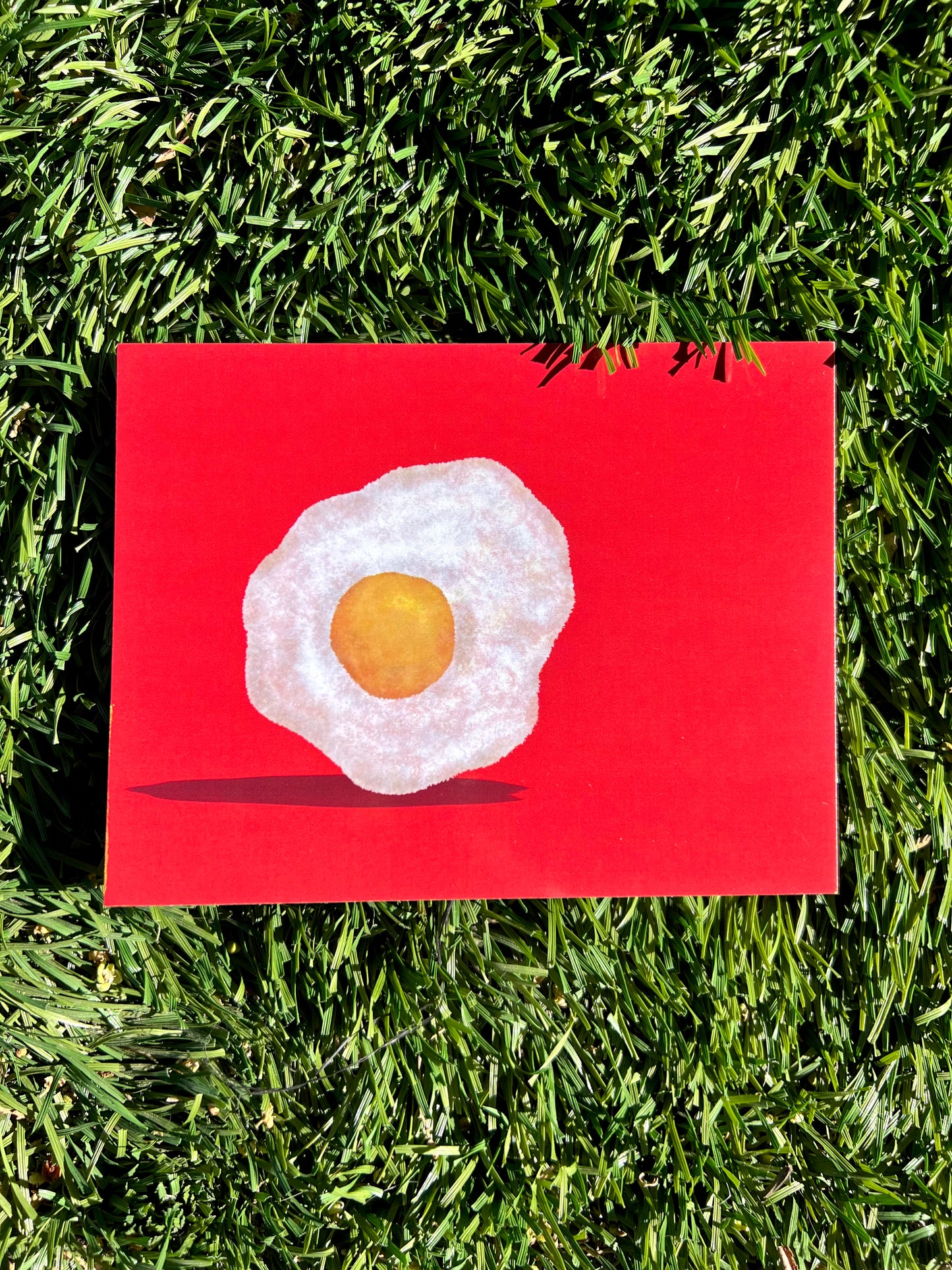Egg Print