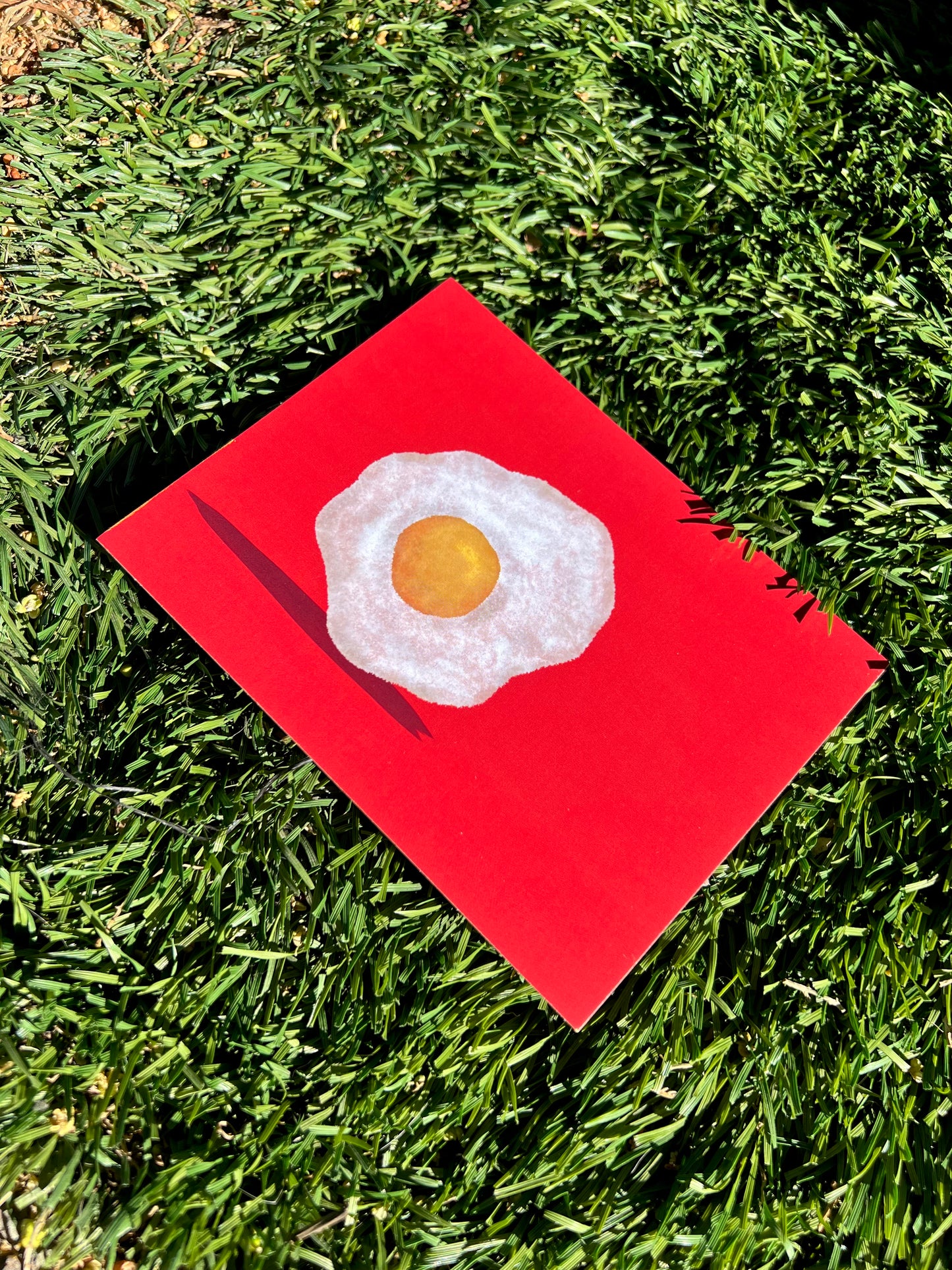 Egg Print