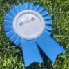 A blue award ribbon face down on green grass to show metal pin backing to the camera.