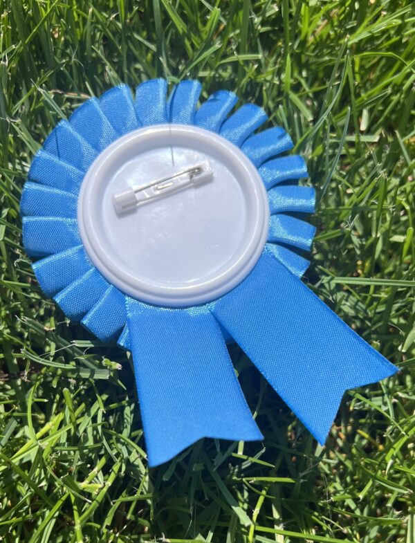 A blue award ribbon face down on green grass to show metal pin backing to the camera.
